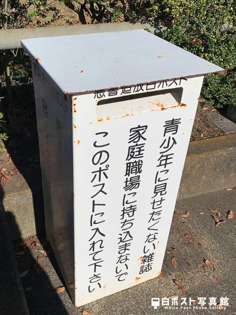 左から見た図