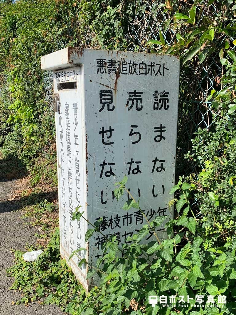 右から見た図
