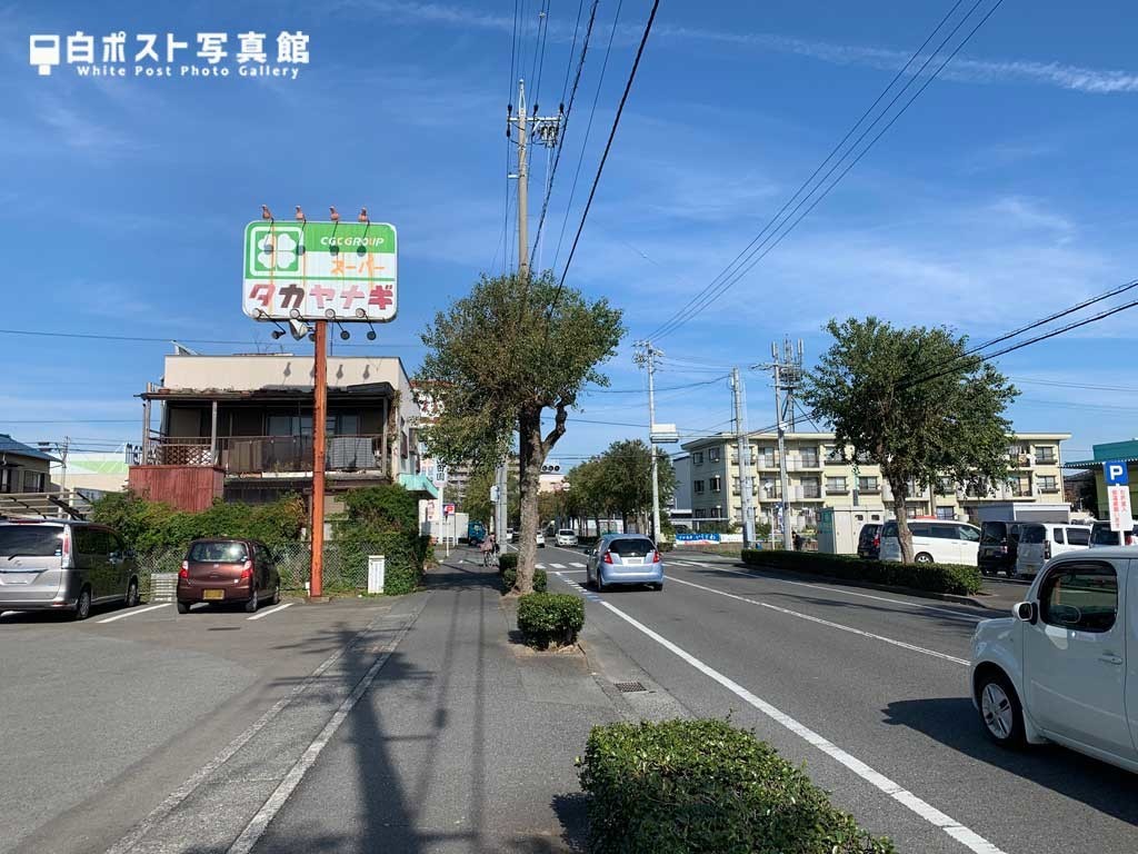 スーパータカヤナギ発見