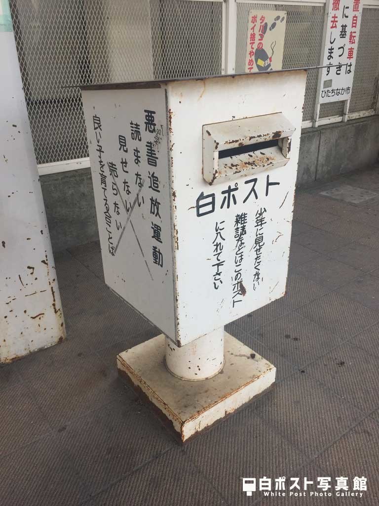 左から見た図