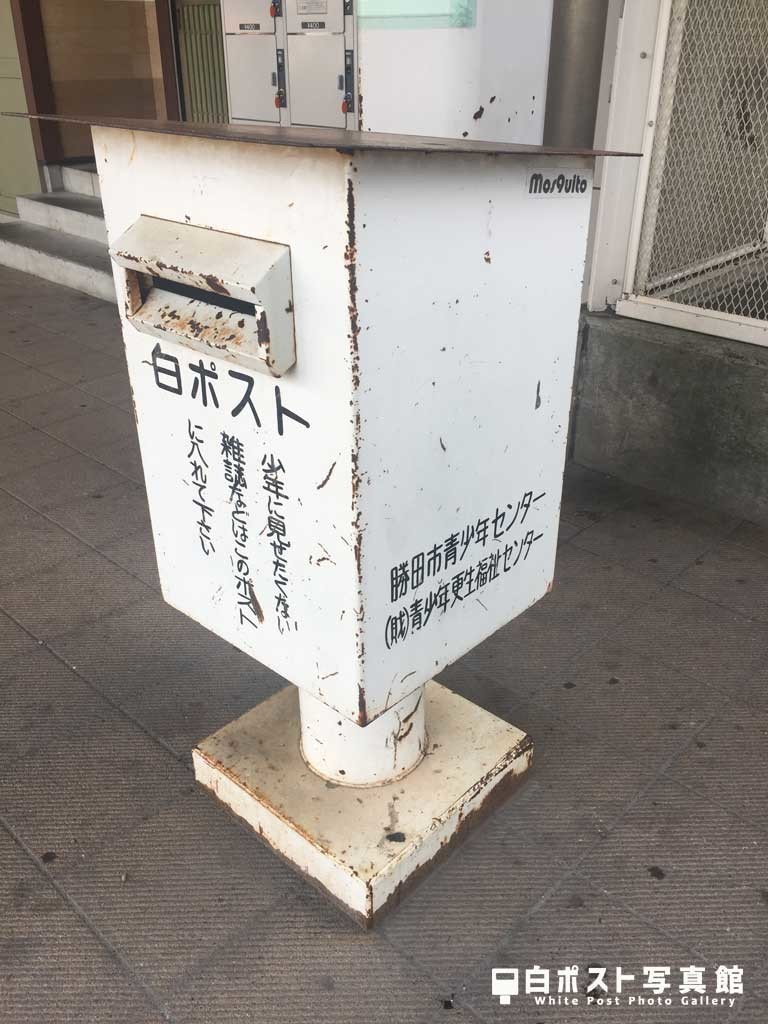 右から見た図