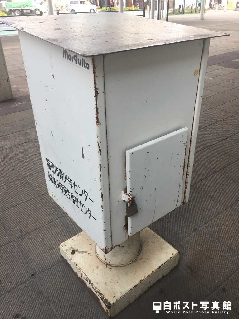 背面図