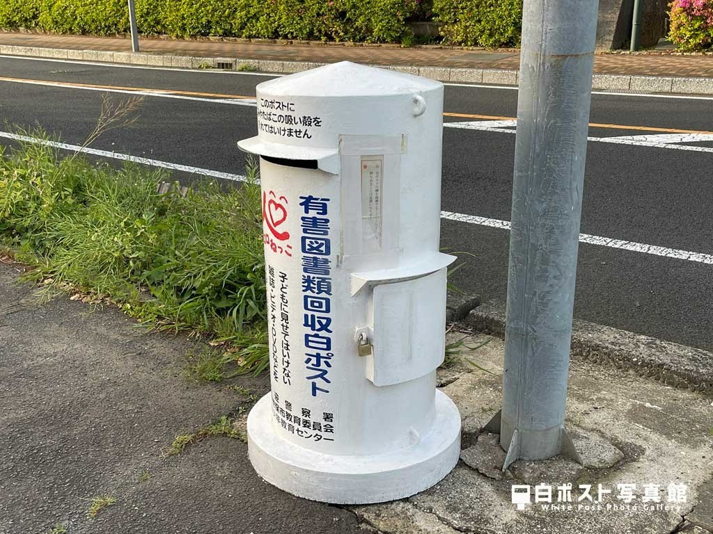 側面図