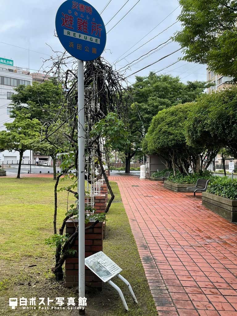 浜田公園の白ポスト遠景図