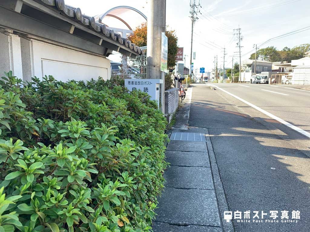 左遠目から