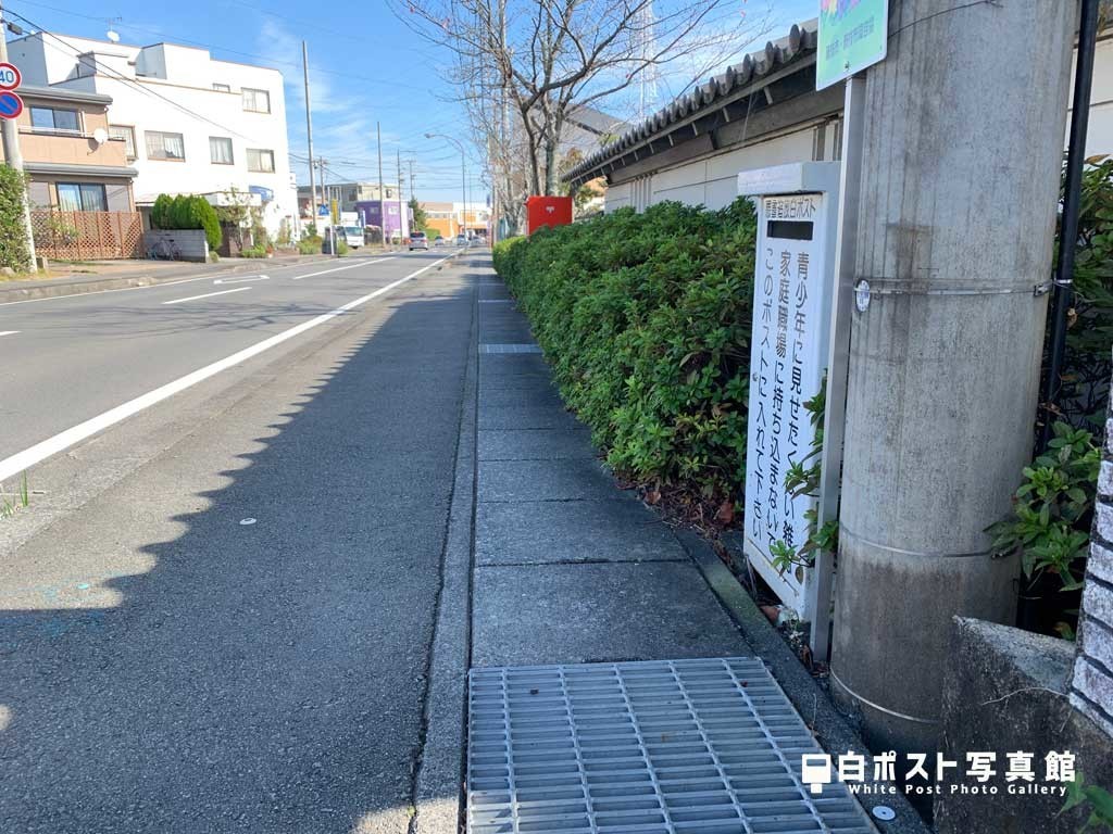 右遠目から