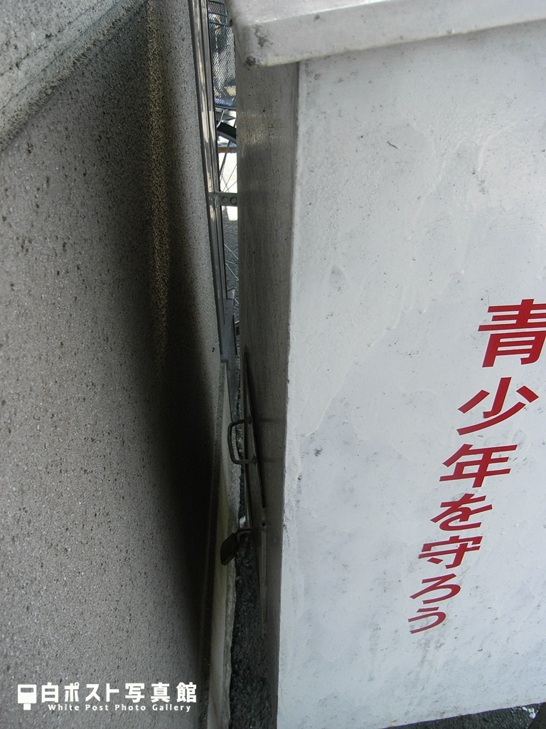 背面図