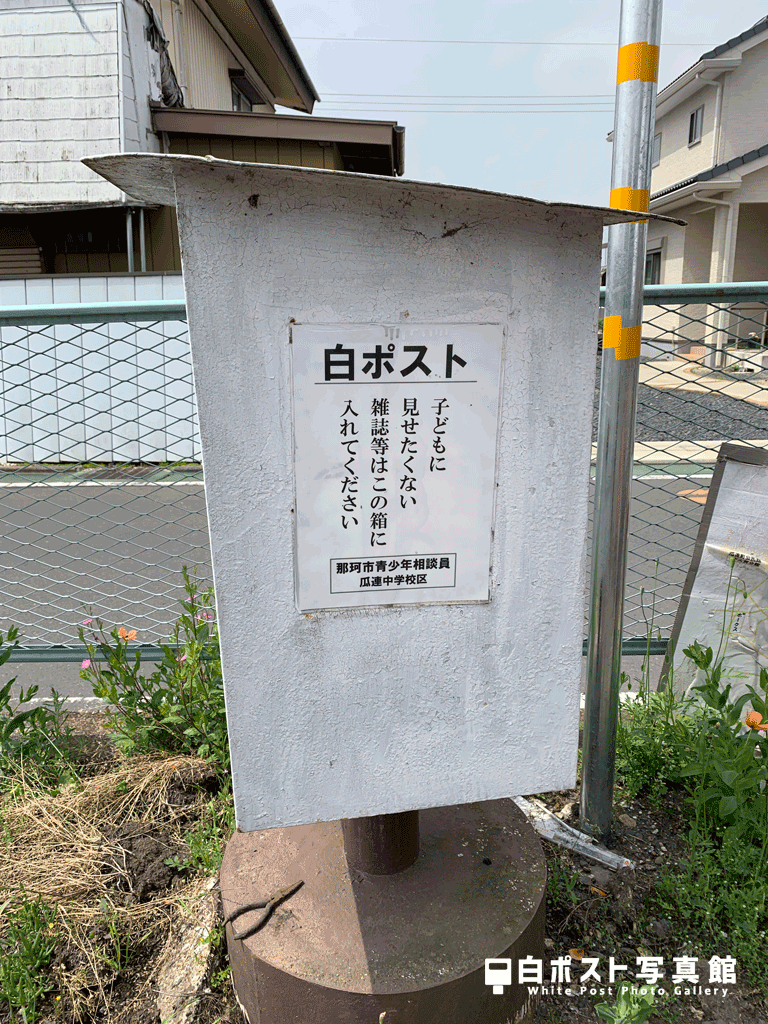右側面から