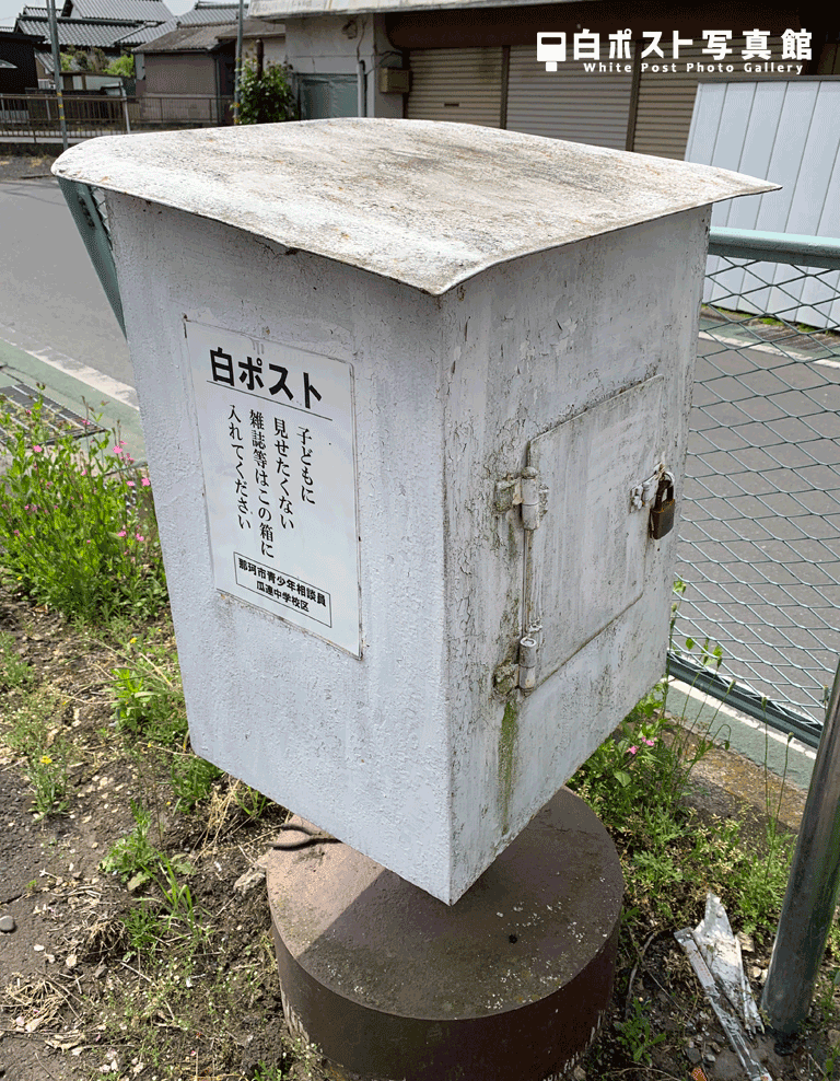 背面図