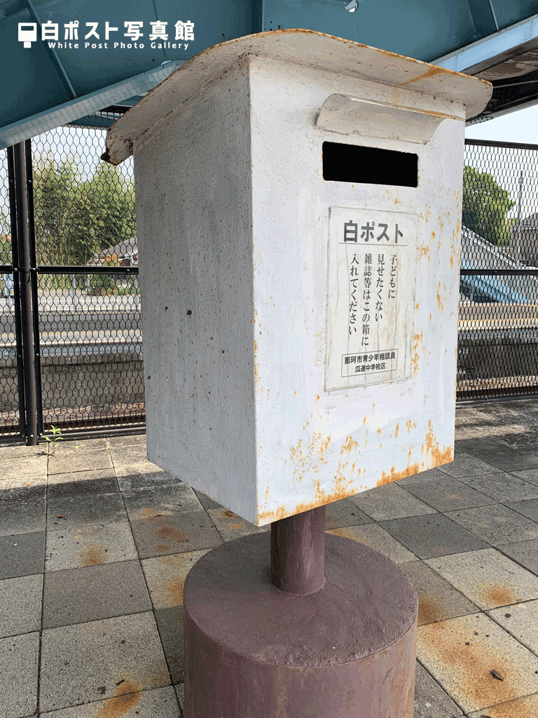左から見た図