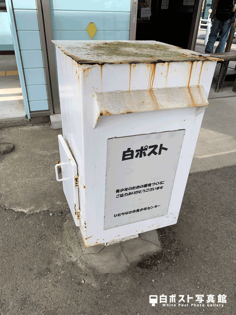 左から見た図