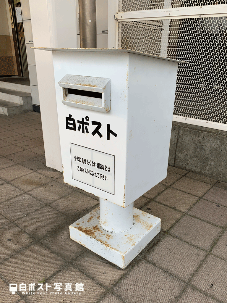 右から見た図