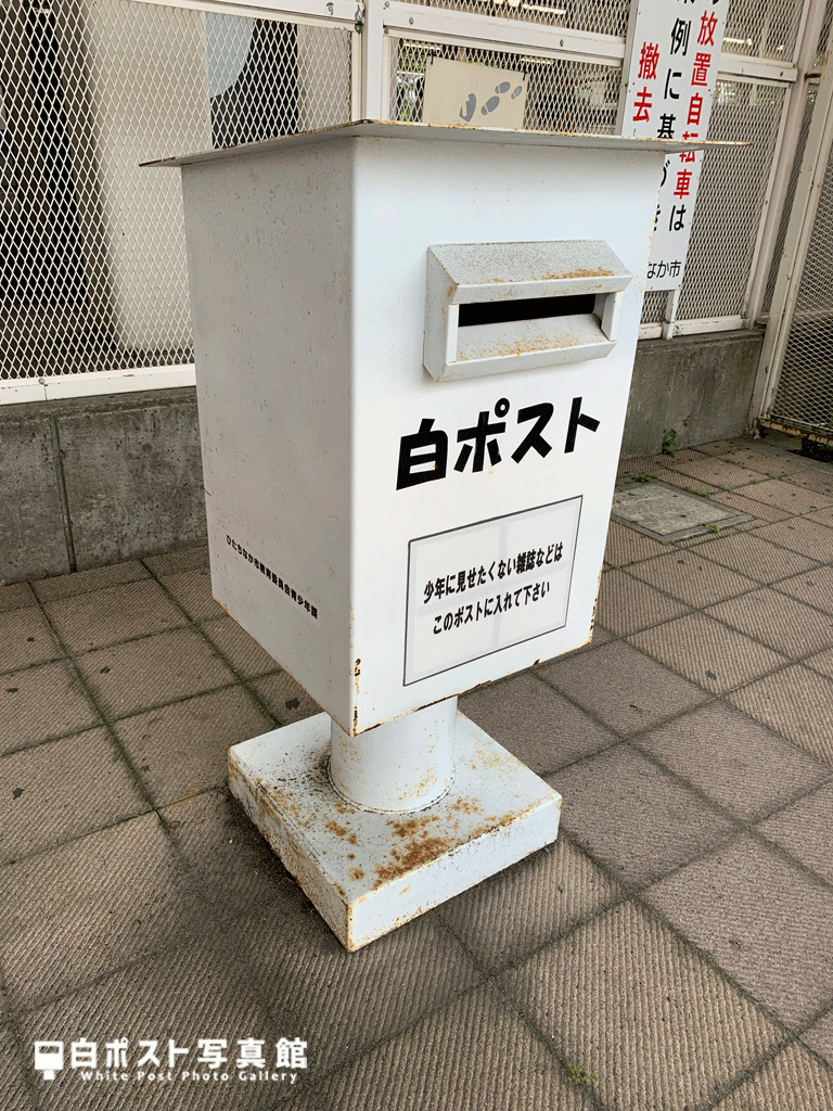 左から見た図