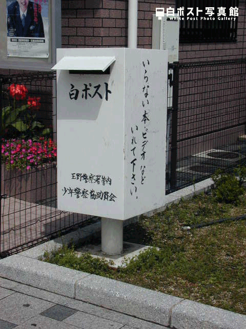 横から見た図