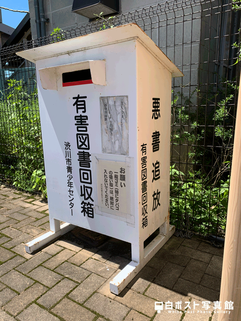 右から見た図