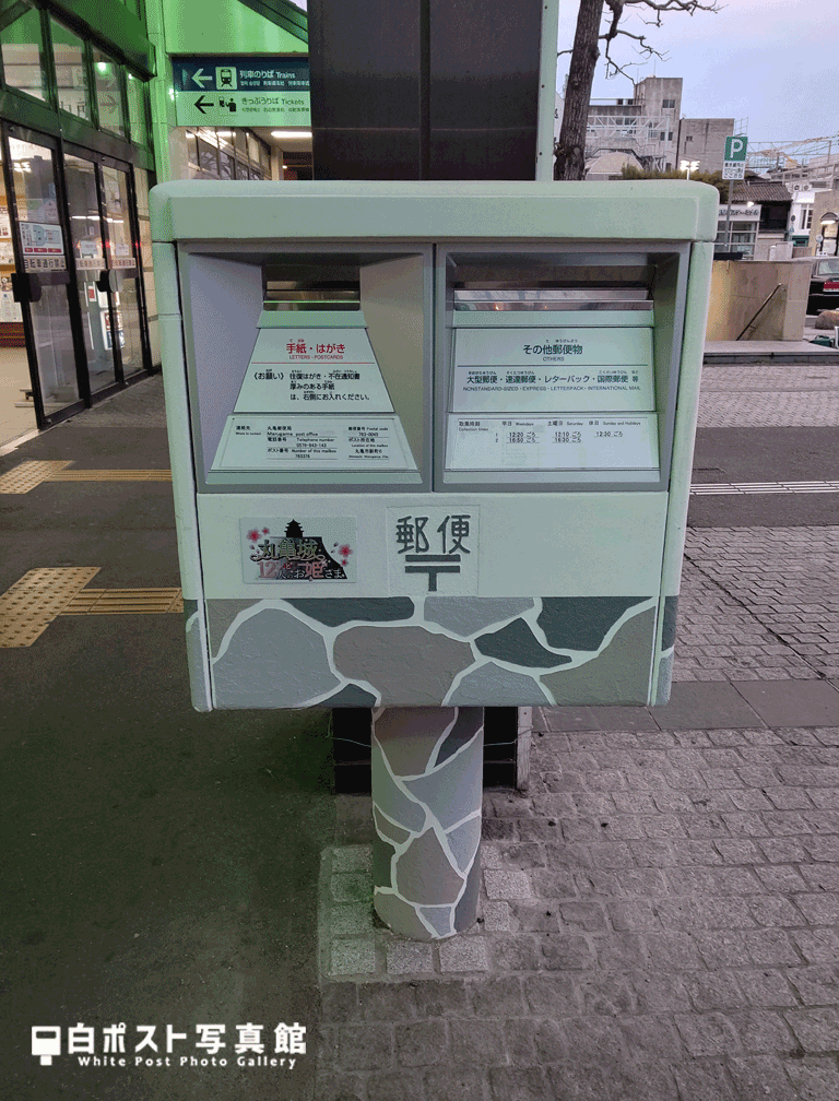 前面から