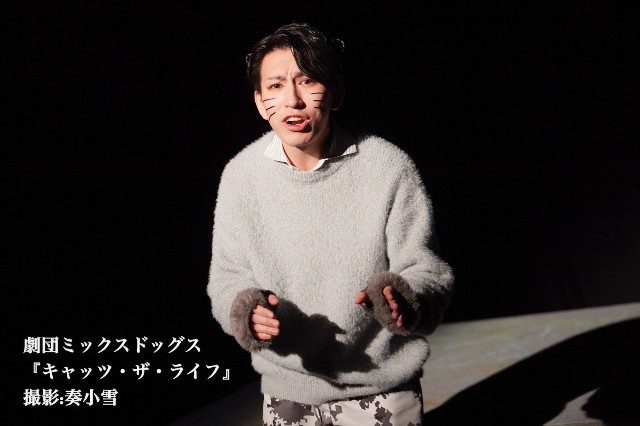 f:id:nuo1725:20250228025744j:image