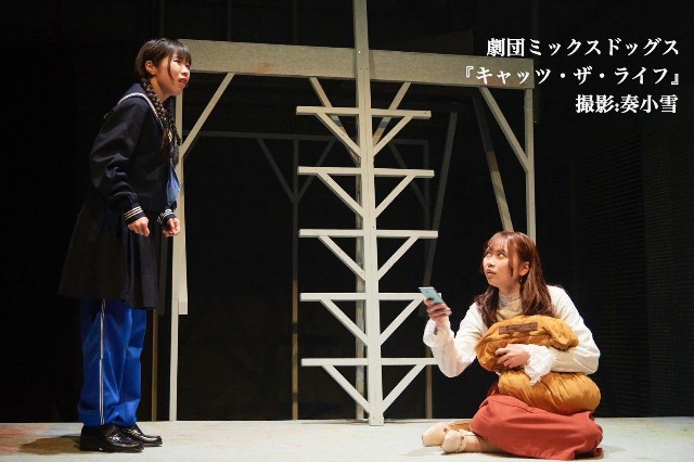 f:id:nuo1725:20250228031347j:image
