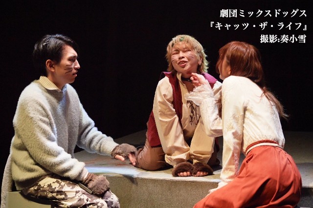 f:id:nuo1725:20250228233546j:image