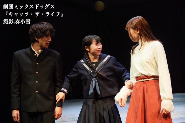 f:id:nuo1725:20250301004913j:image