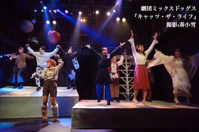 f:id:nuo1725:20250301005032j:image