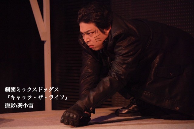 f:id:nuo1725:20250302181149j:image