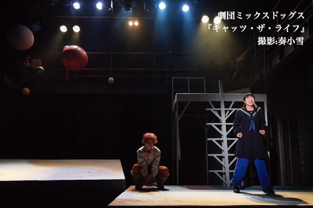 f:id:nuo1725:20250302183320j:image