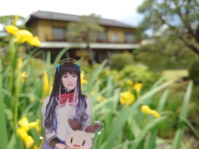 f:id:nuo1725:20250314104434j:image