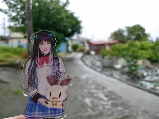 f:id:nuo1725:20250314115245j:image