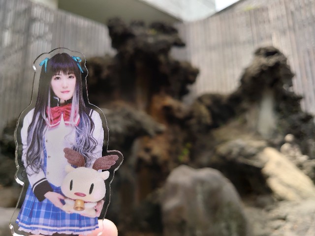 f:id:nuo1725:20250314115751j:image