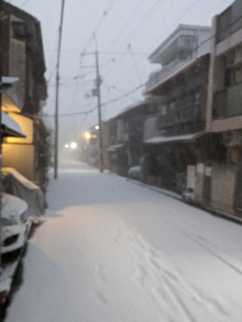 f:id:nurikabe2023:20230125004357j:image