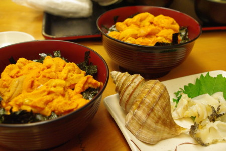 f:id:nurse0411:20120828122053j:image