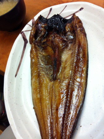 f:id:nurse0411:20120828122525j:image