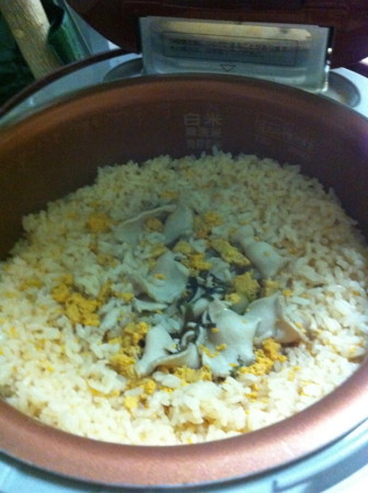 f:id:nurse0411:20120918180218j:image