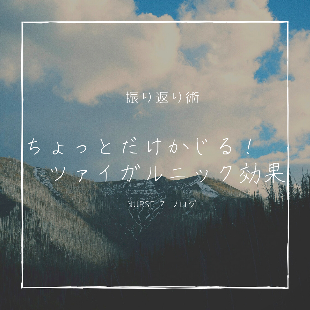 f:id:nurseZ:20210510222845p:plain