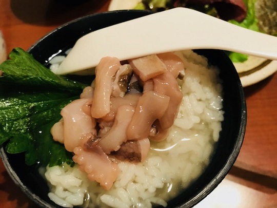 f:id:nurse_minako:20190512021448j:plain f:id:nurse_minako:20190512021448j:plain