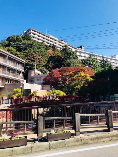 f:id:nurse_minako:20191111145002j:plain f:id:nurse_minako:20191111145002j:plain