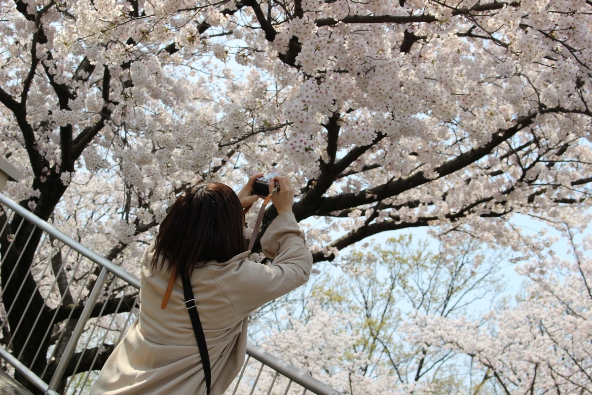 f:id:nurse_t:20191102130510j:plain
