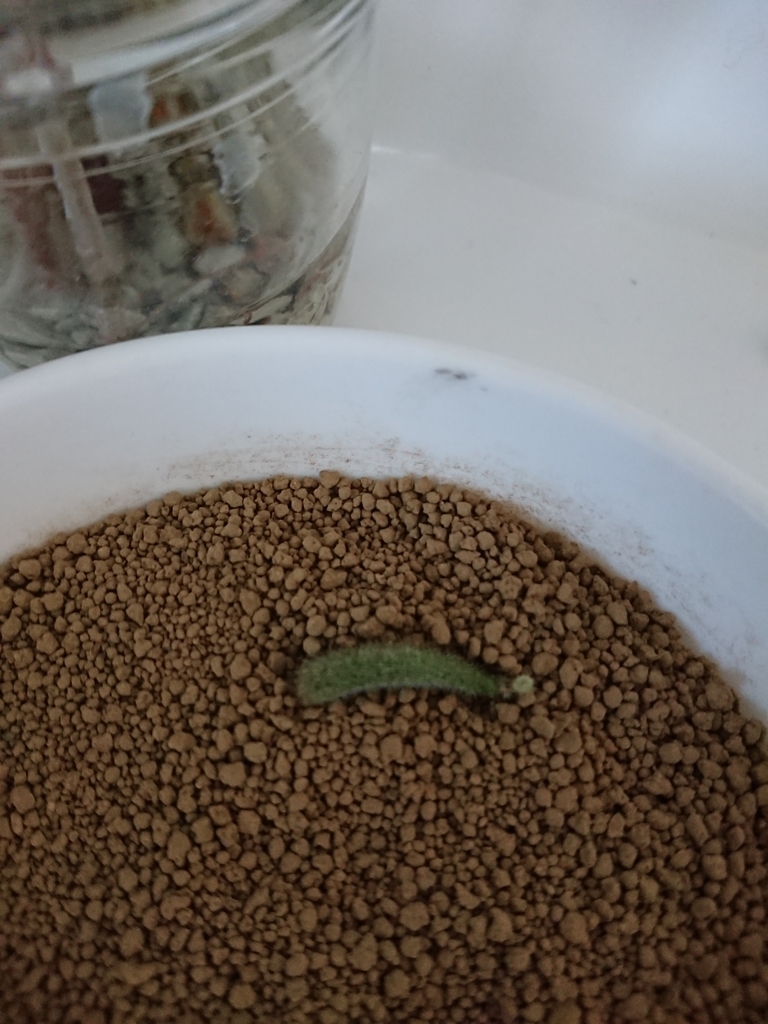 f:id:nurumenokotatu:20180926104733j:plain