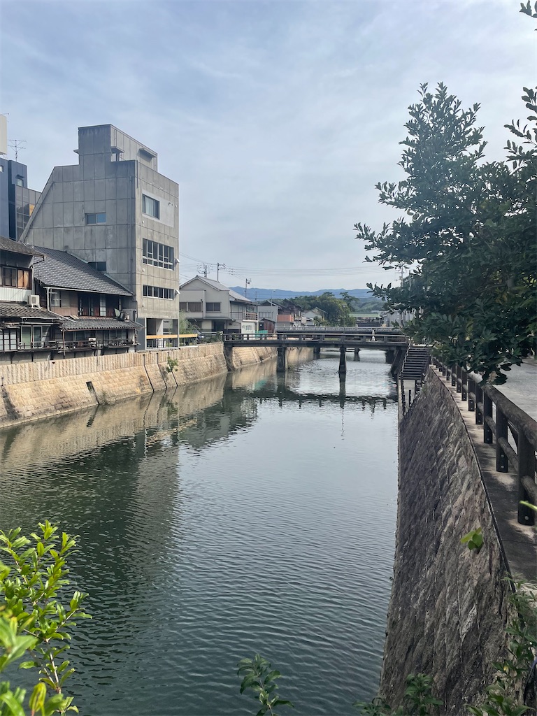 f:id:nusyoku:20241104132033j:image
