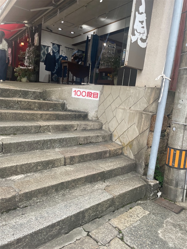 f:id:nusyoku:20241104132623j:image