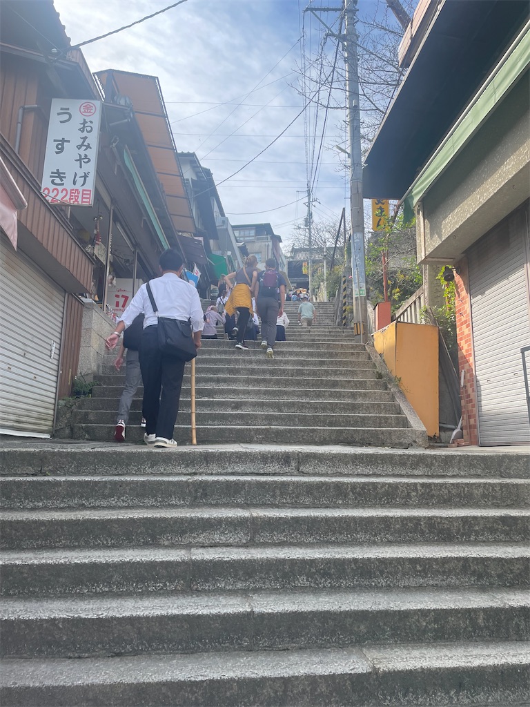 f:id:nusyoku:20241104132813j:image