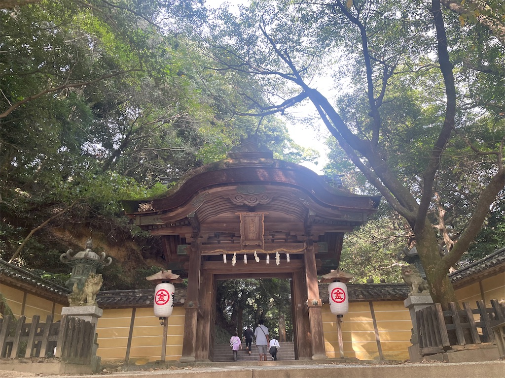 f:id:nusyoku:20241104134727j:image