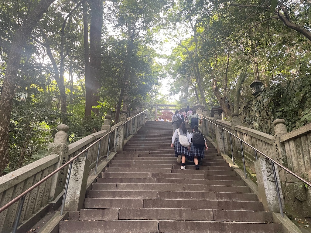 f:id:nusyoku:20241104134742j:image