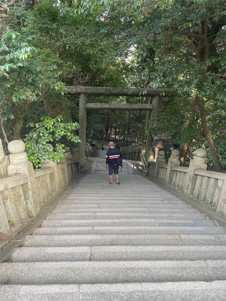 f:id:nusyoku:20241104135351j:image