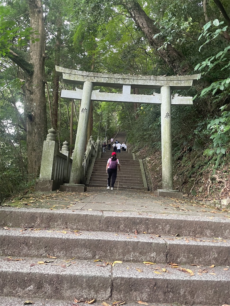 f:id:nusyoku:20241104135355j:image