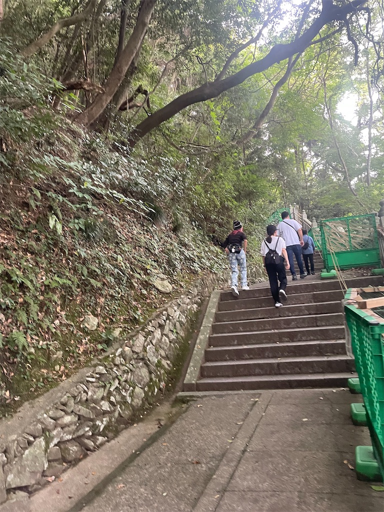 f:id:nusyoku:20241104135358j:image