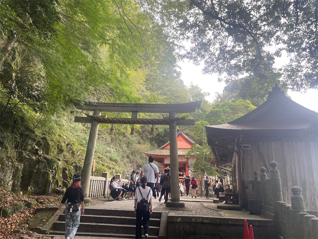 f:id:nusyoku:20241104135413j:image