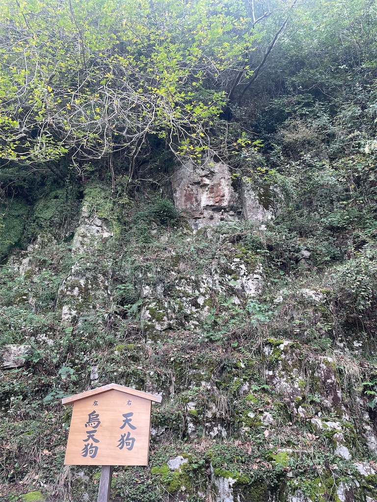 f:id:nusyoku:20241104135444j:image