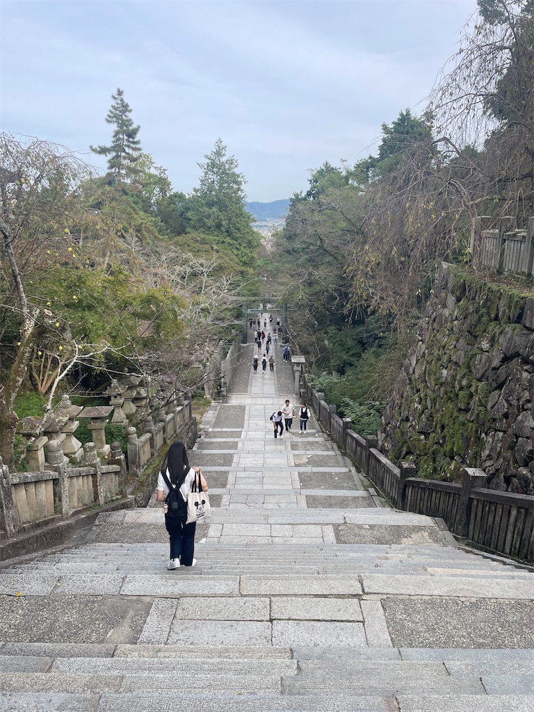 f:id:nusyoku:20241104140933j:image